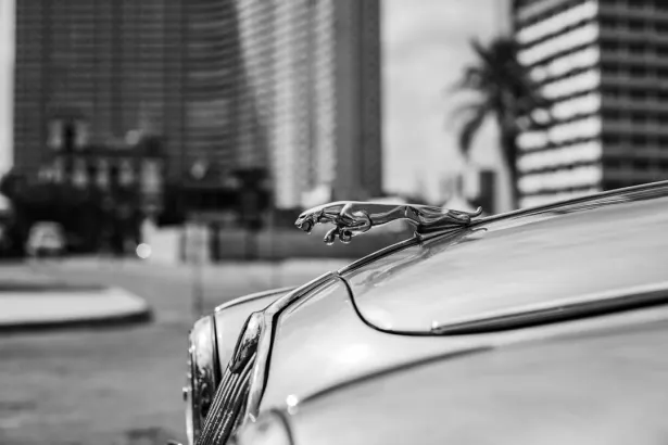 벳리걸 카지노 안드로이드/iOS 앱